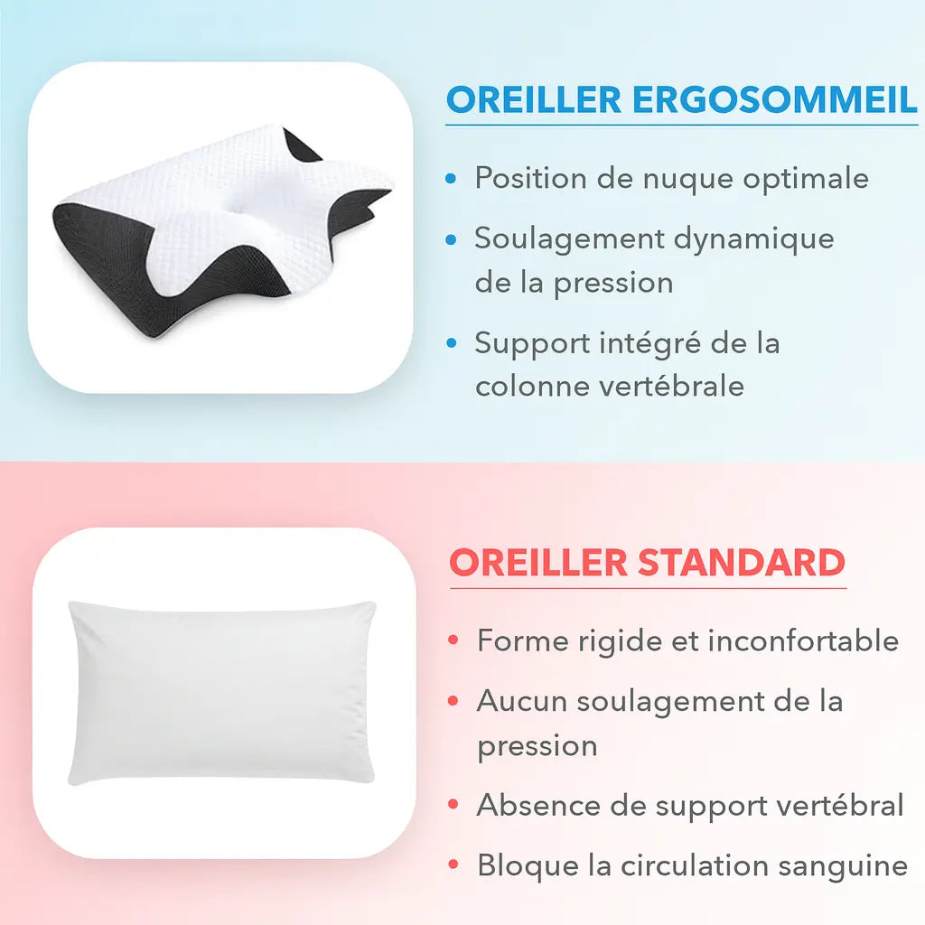 ErgoCloud | Coussin Confort